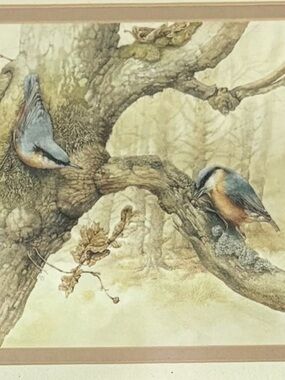 Vintage Marjolein Bastin Original Matted 10x7 Art Print 1995 Hallmark Nuthatches